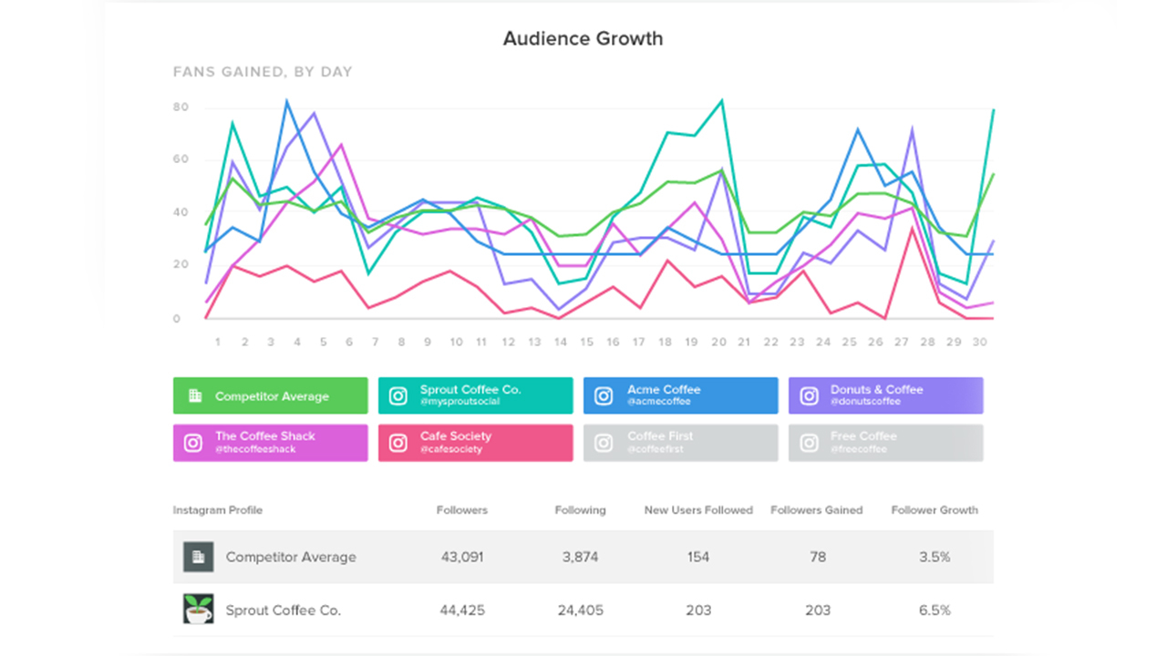 Instagram Audience