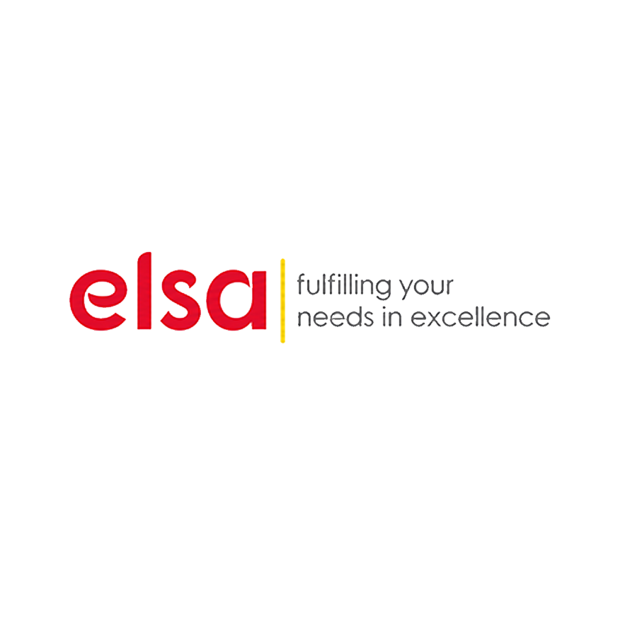 elsa -