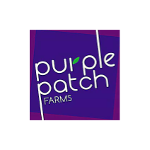 purple patch -